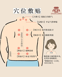 三伏贴终极贴 关于你知道的和不知道的 都在这里了！